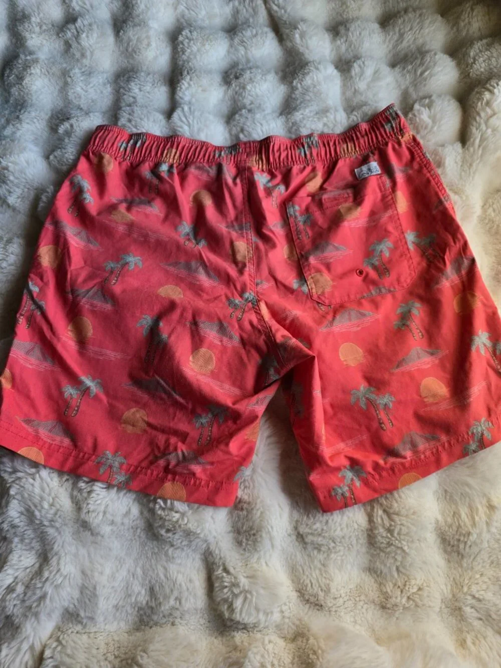 Blue Crown Coral Beach swim trunks men